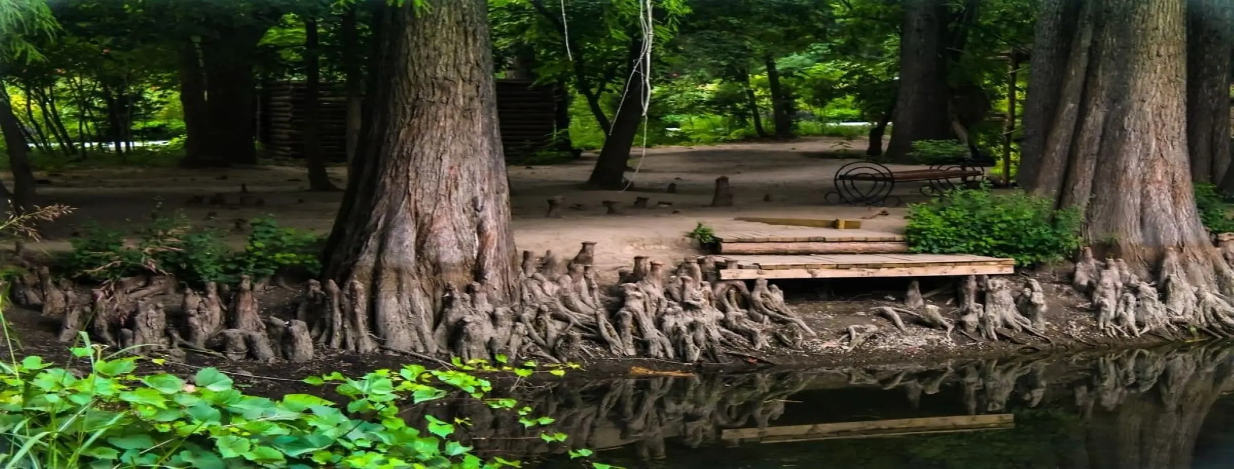 Image for Tashkent Botanical Garden